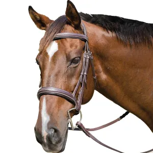 Avignon Wellington Bridle
